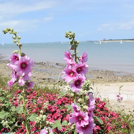 Les 3m Appartement *